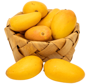 Mangos-04